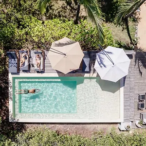 Vida Silvestre Tulum